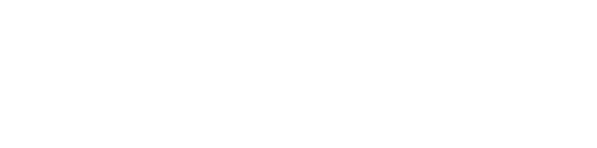 aivika